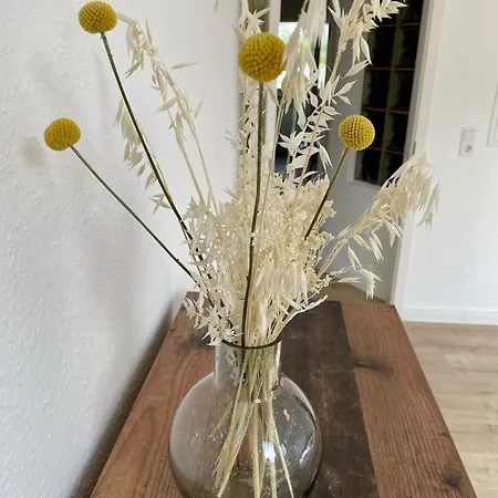 FLATLIGHT - Stylish apartment - Kitchen - Parking - Netflix Hildesheim Exterior foto