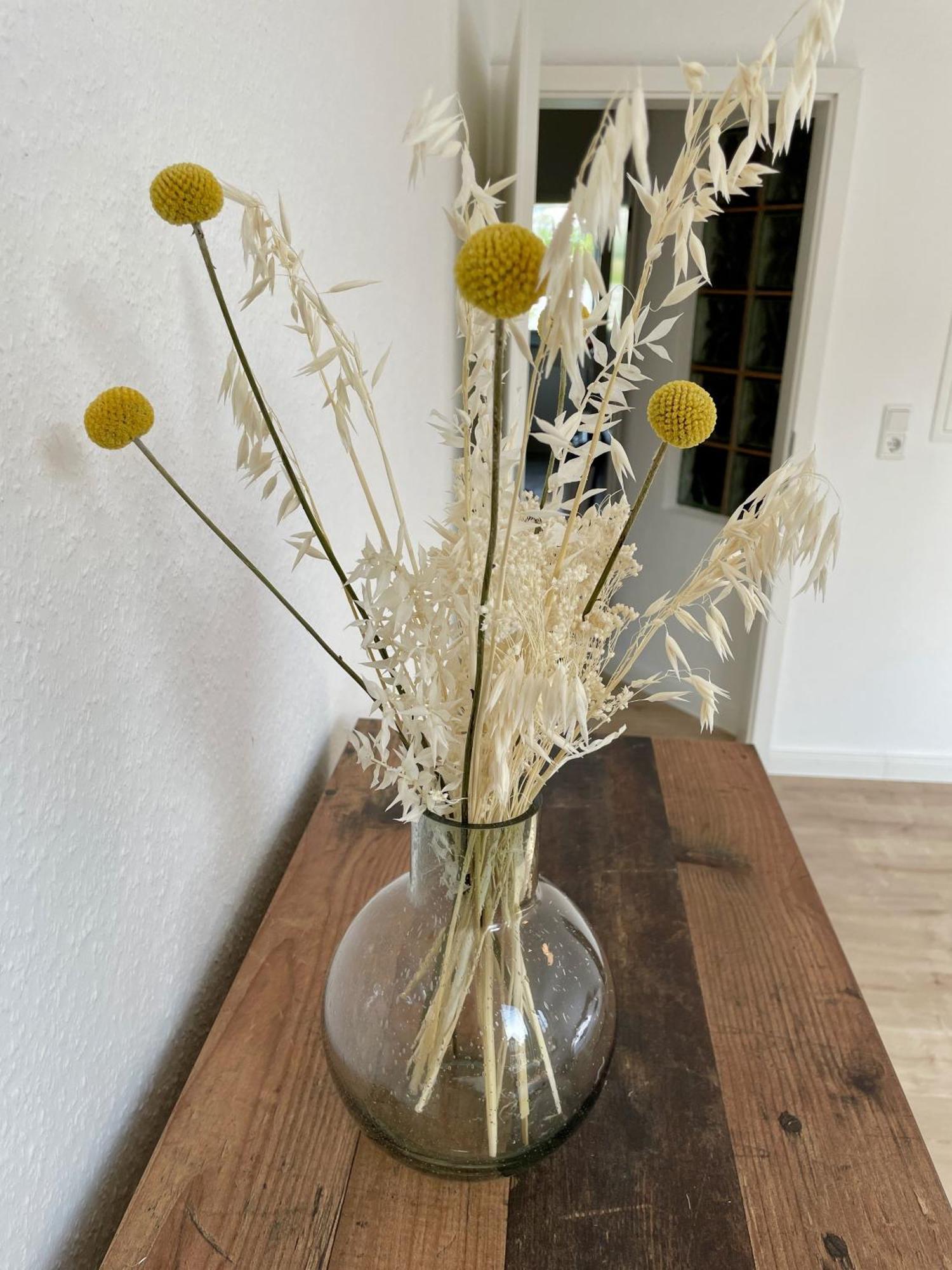 Bright Elzer Strasse Appartement Hildesheim